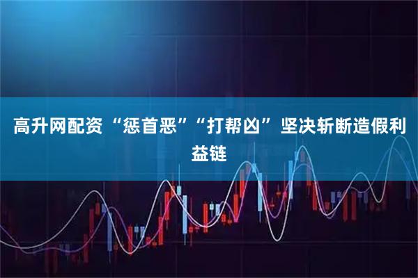 高升网配资 “惩首恶”“打帮凶” 坚决斩断造假利益链