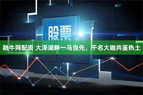 融牛网配资 大泽湖畔一马当先，千名大咖共鉴热土