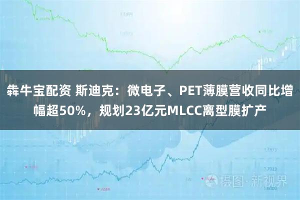 犇牛宝配资 斯迪克：微电子、PET薄膜营收同比增幅超50%，规划23亿元MLCC离型膜扩产